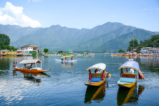 SEE PARADISE KASHMIR 