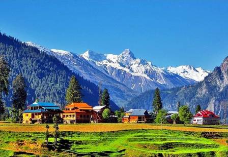 DELIGHTFUL KASHMIR - OPTION B