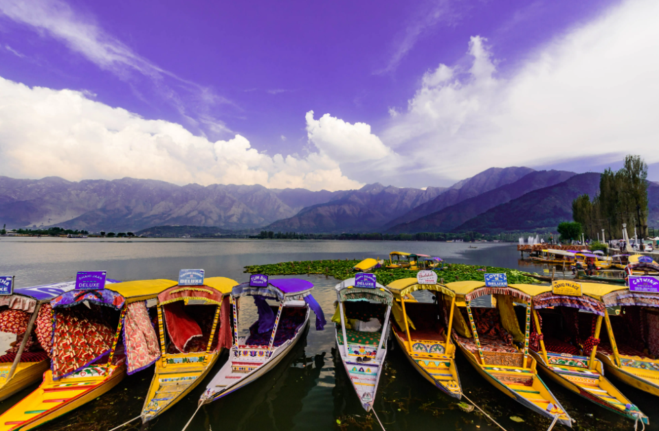 WONDERFUL KASHMIR - OPTION A