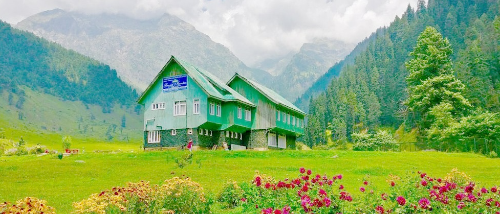 AMAZING KASHMIR - OPTION B