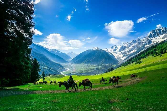 MARVELLOUS KASHMIR - OPTION A 