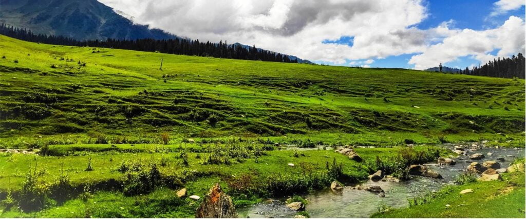 DELIGHTFUL KASHMIR - OPTION A 