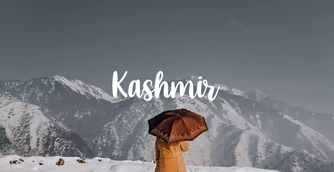 DELIGHTFUL KASHMIR - OPTION C